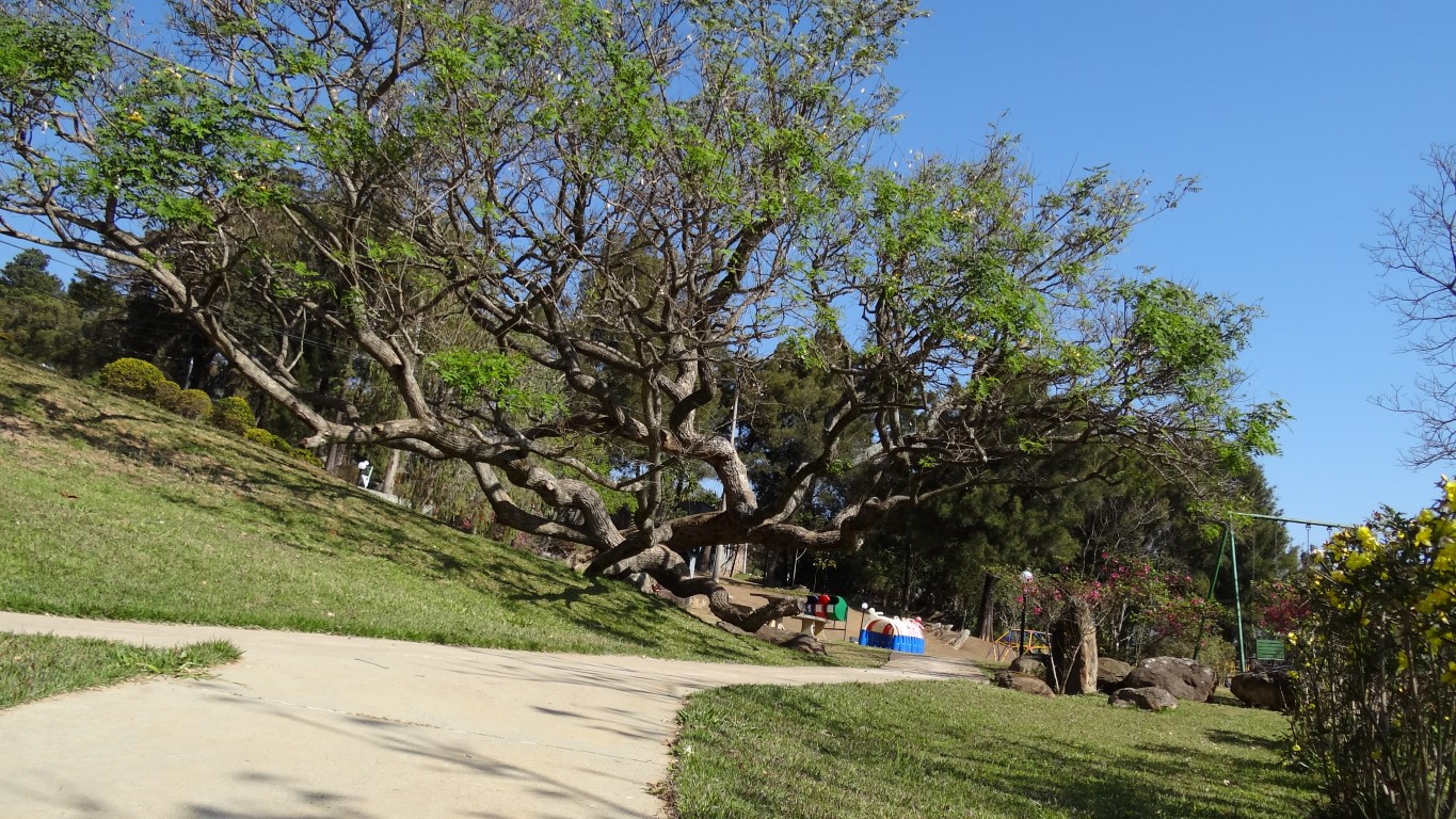 Retiro das pedras imoveis