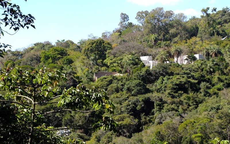 bosque da ribeira vale do mutuca
