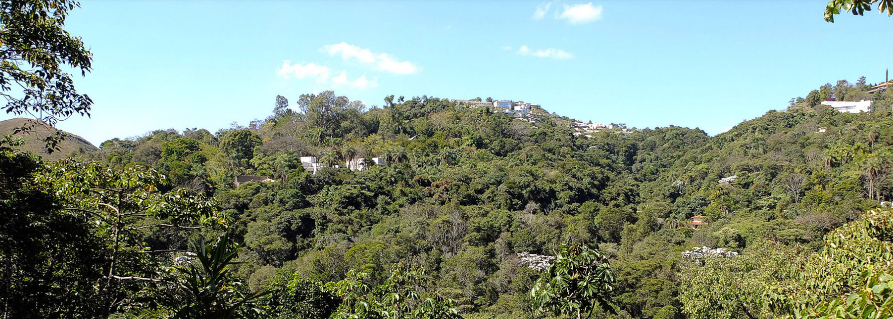 bosque da ribeira nova lima