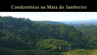 Mata do Jambreiro na estrada de BH para Nova Lima