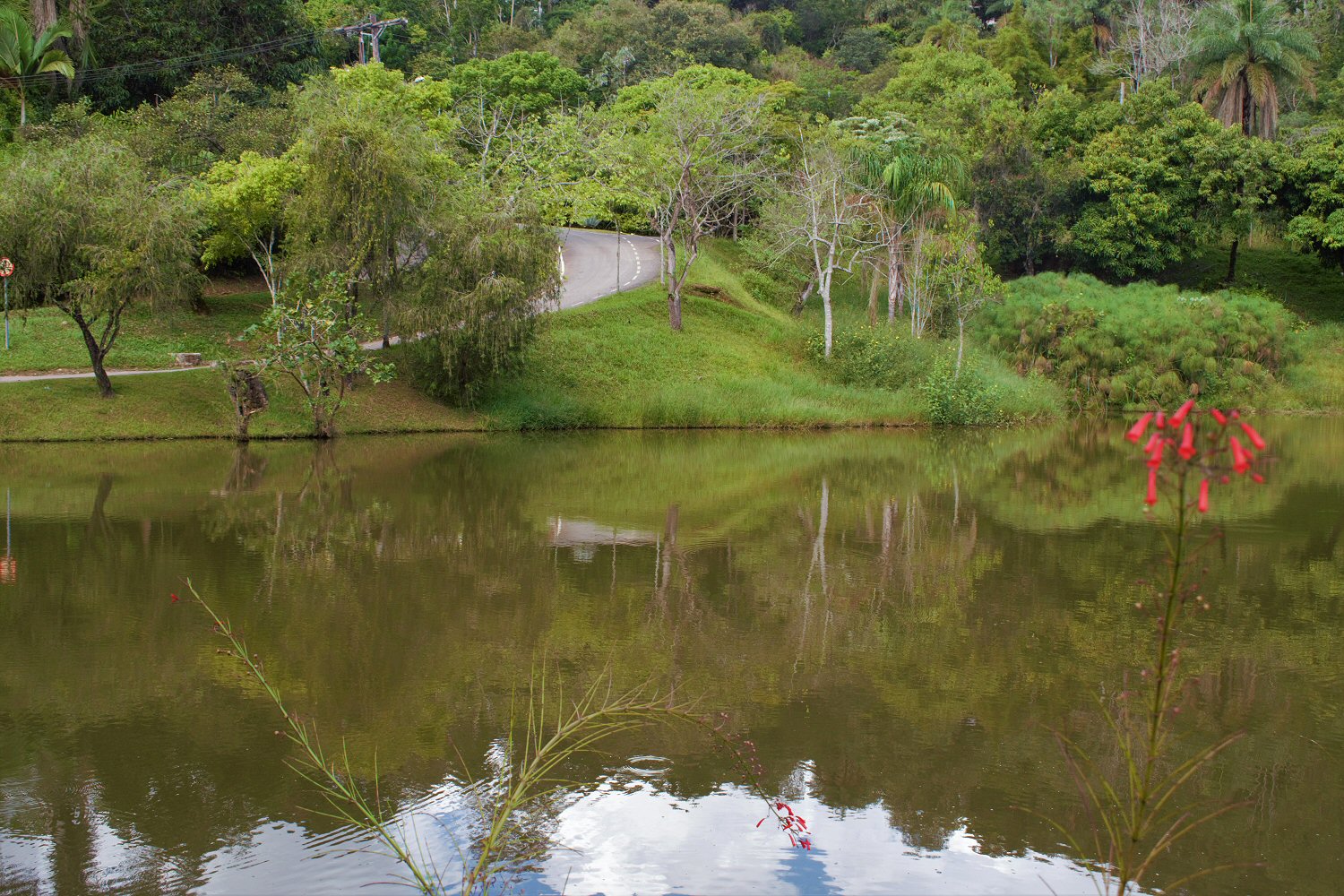 condominio fechado com lago