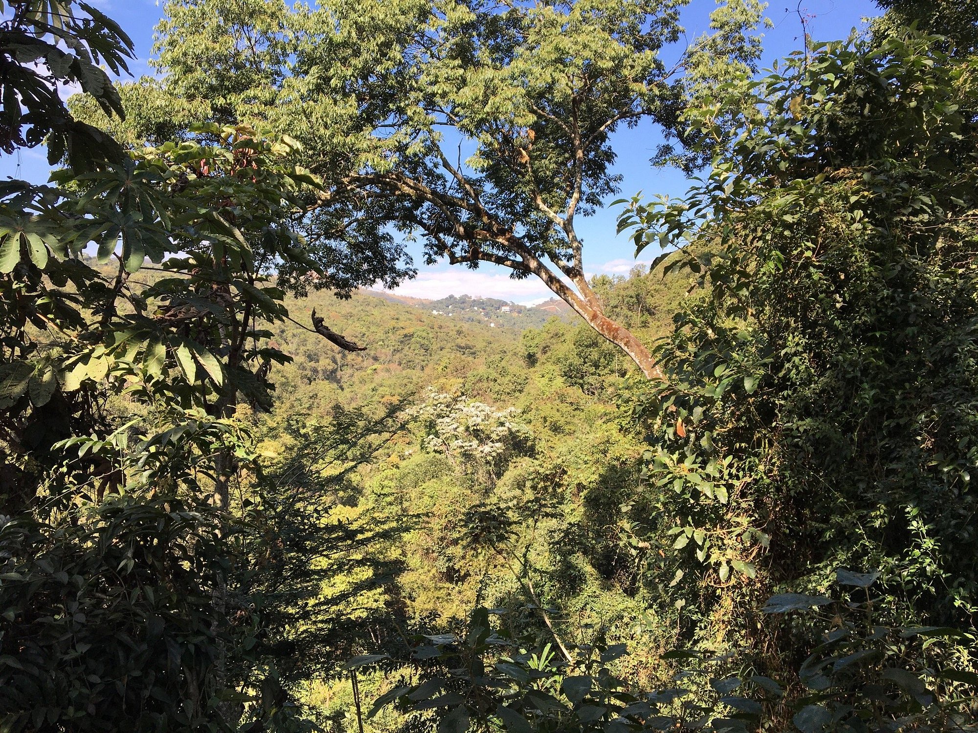 casas a venda em nova lima mg