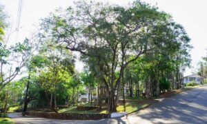 aguas claras em piedade