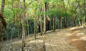 condomínio águas claras em piedade do paraopeba
