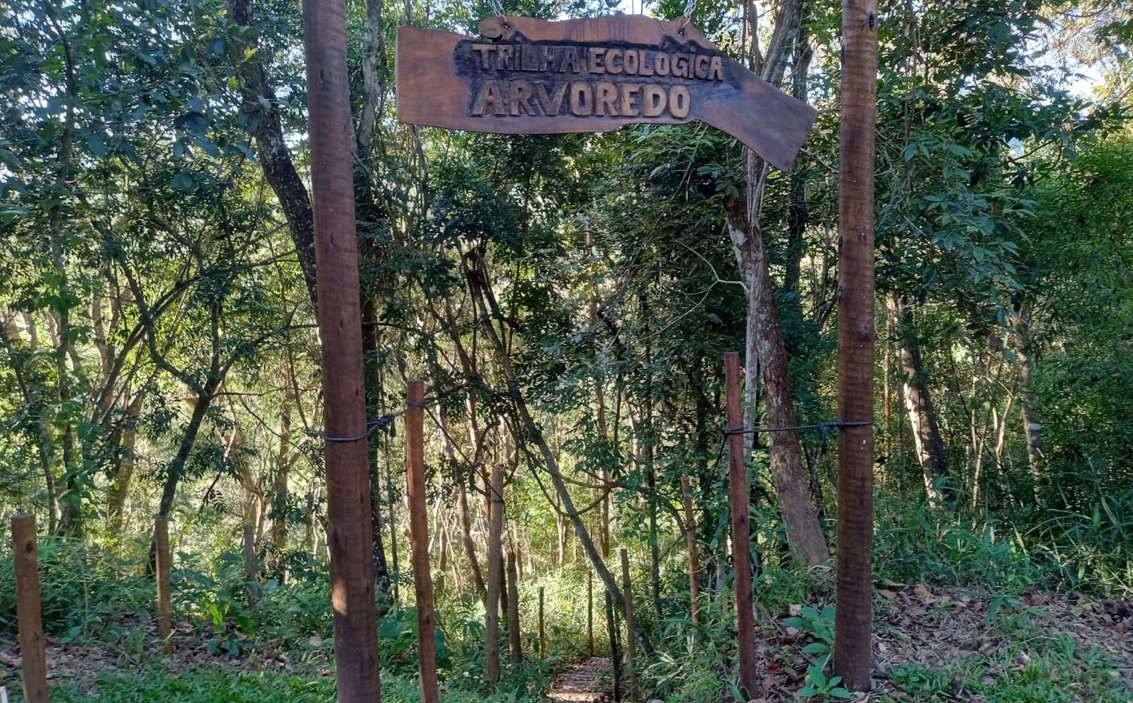 condominio arvoredo macacos