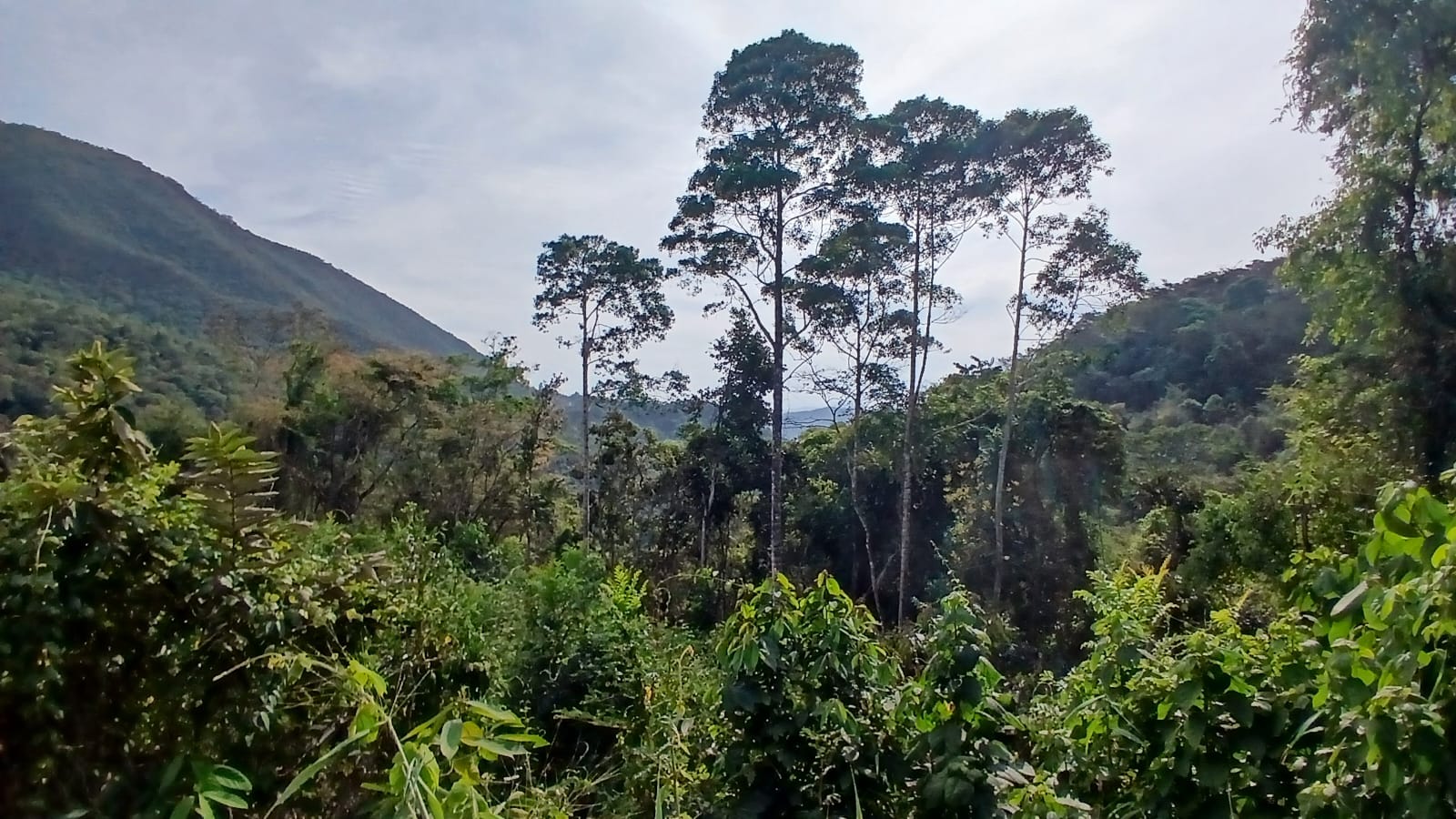 casa a venda com vista para as montanhas