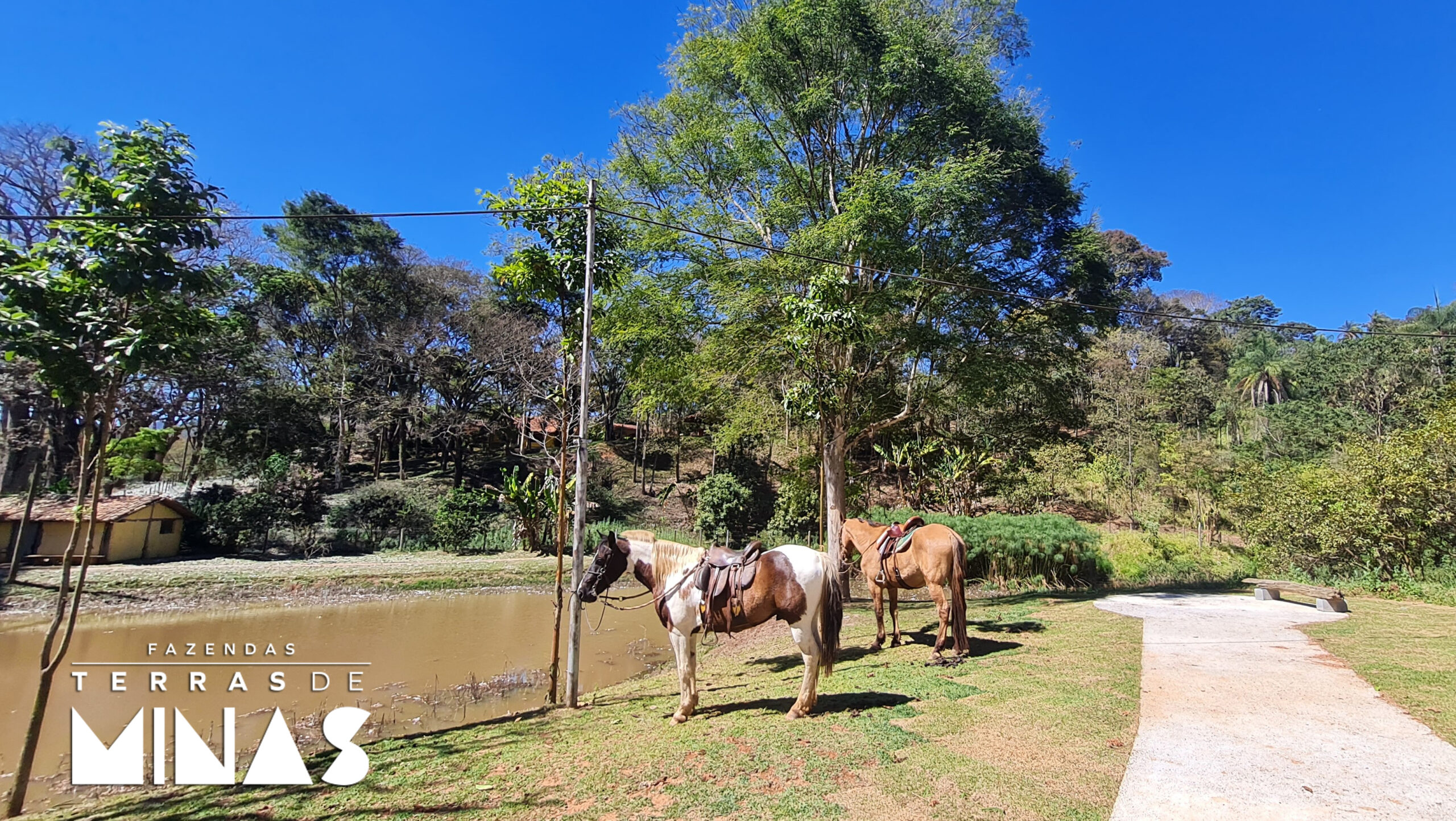 fazendas terras de minas brumadinho