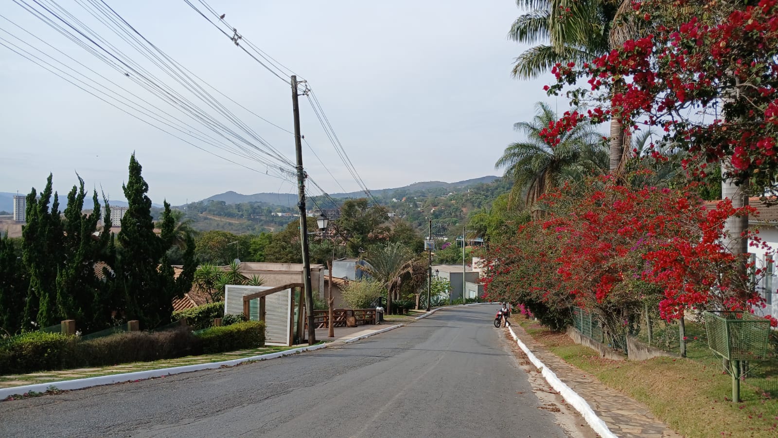 ouro velho nova lima