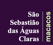 sao sebastiao das aguas claras nova lima