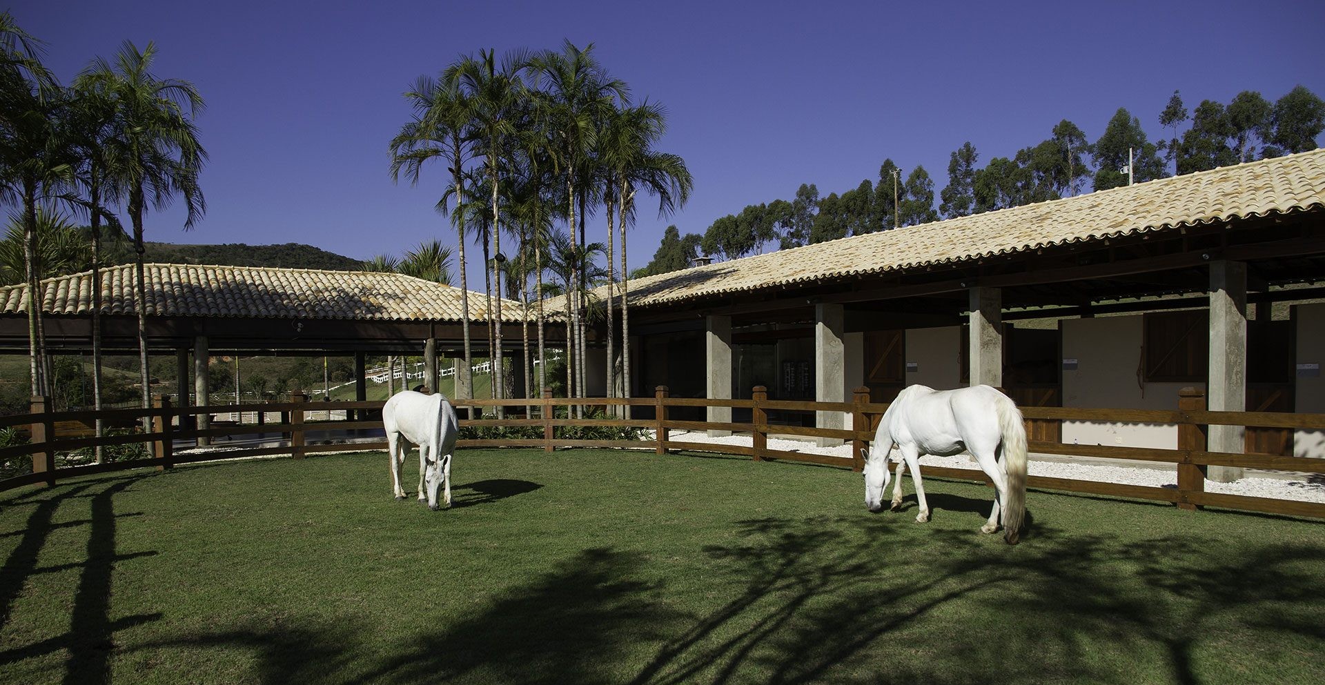 haras mtostes