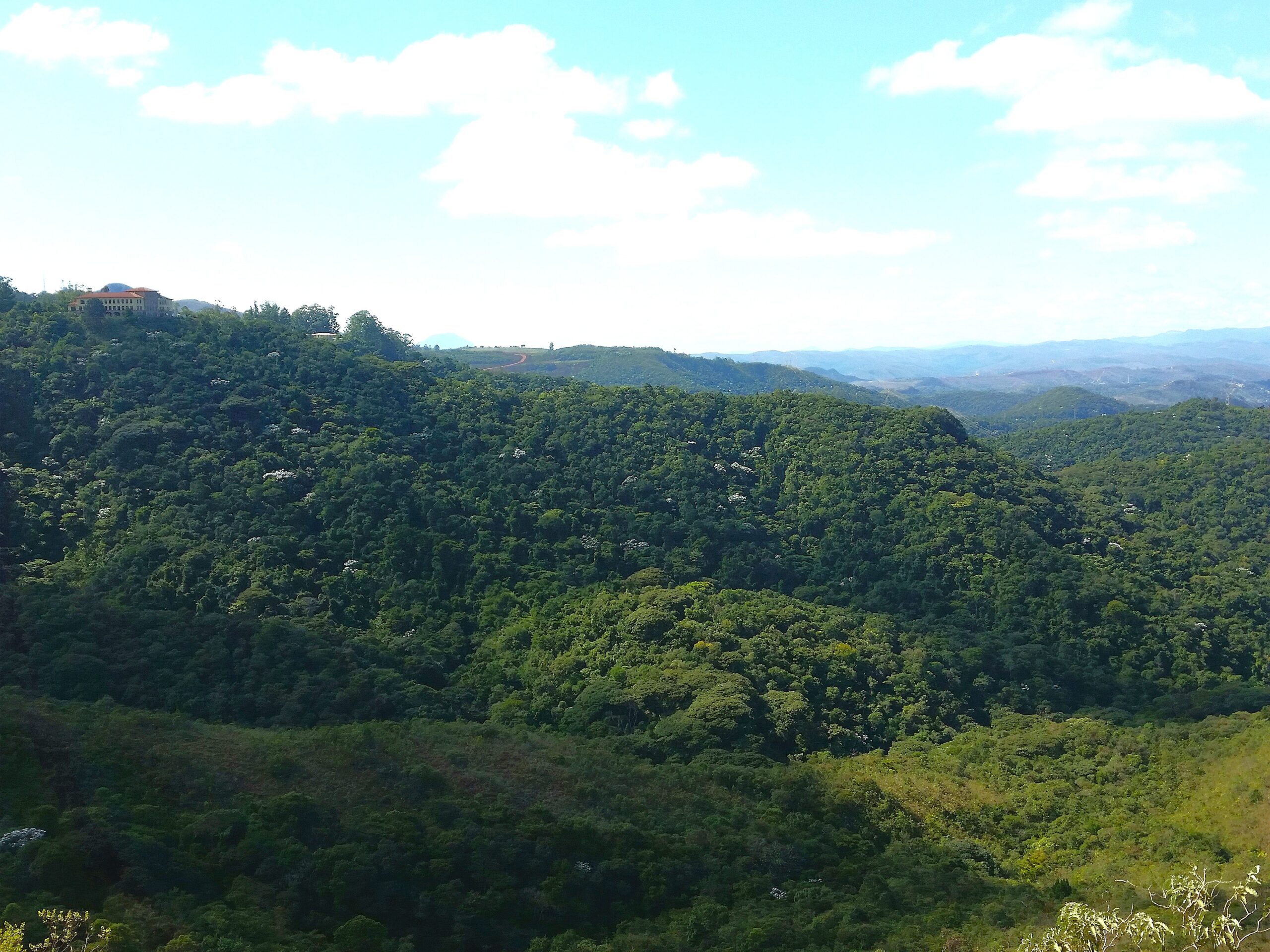 casas com vista para a mata do jambreiro