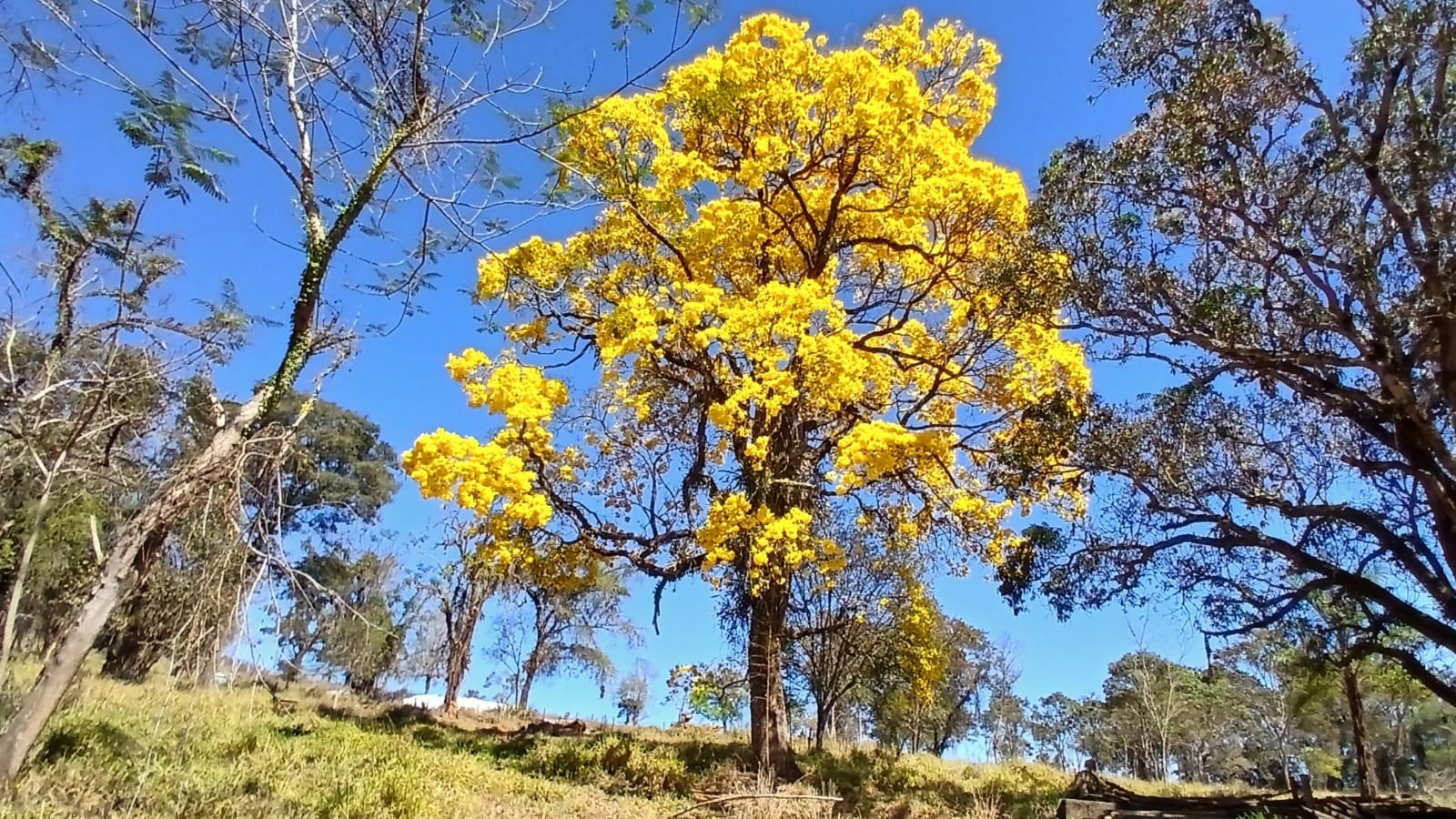 fazendas terras de minas piedade do paraopeba