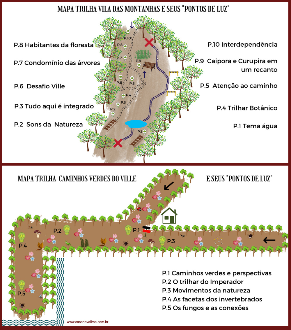 trilhas ecológicas na mata do jambreiro