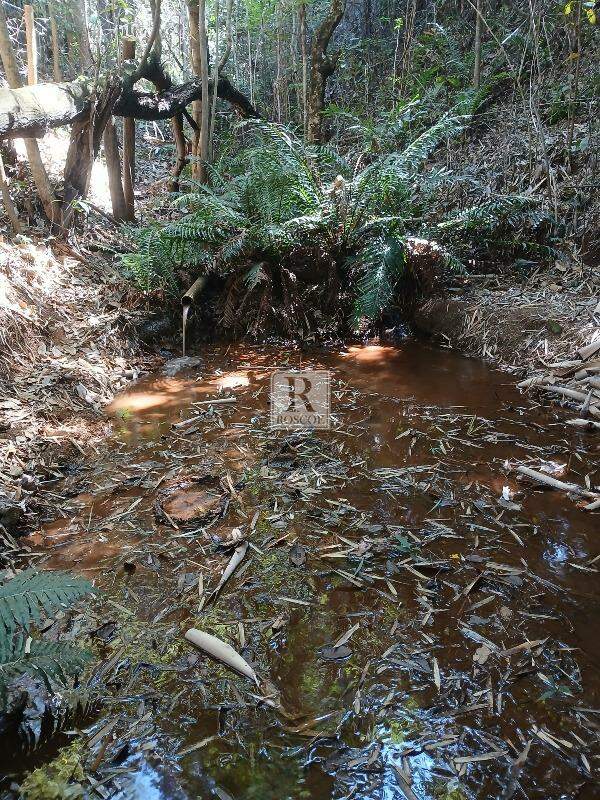 Glebas em Piedade do Paraopeba