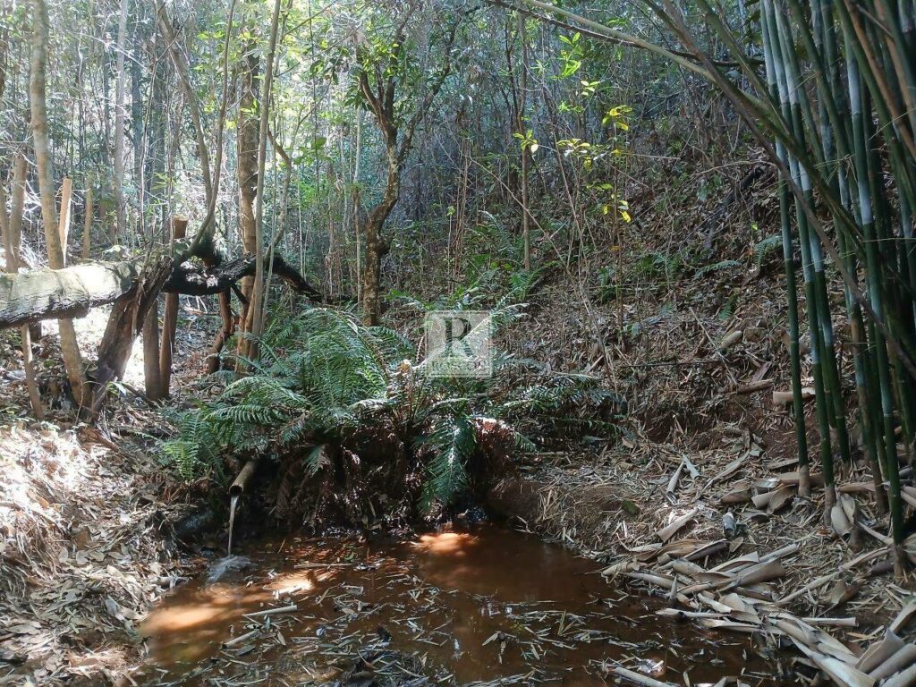 Glebas em Piedade do Paraopeba