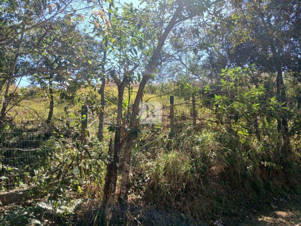 Glebas em Piedade do Paraopeba