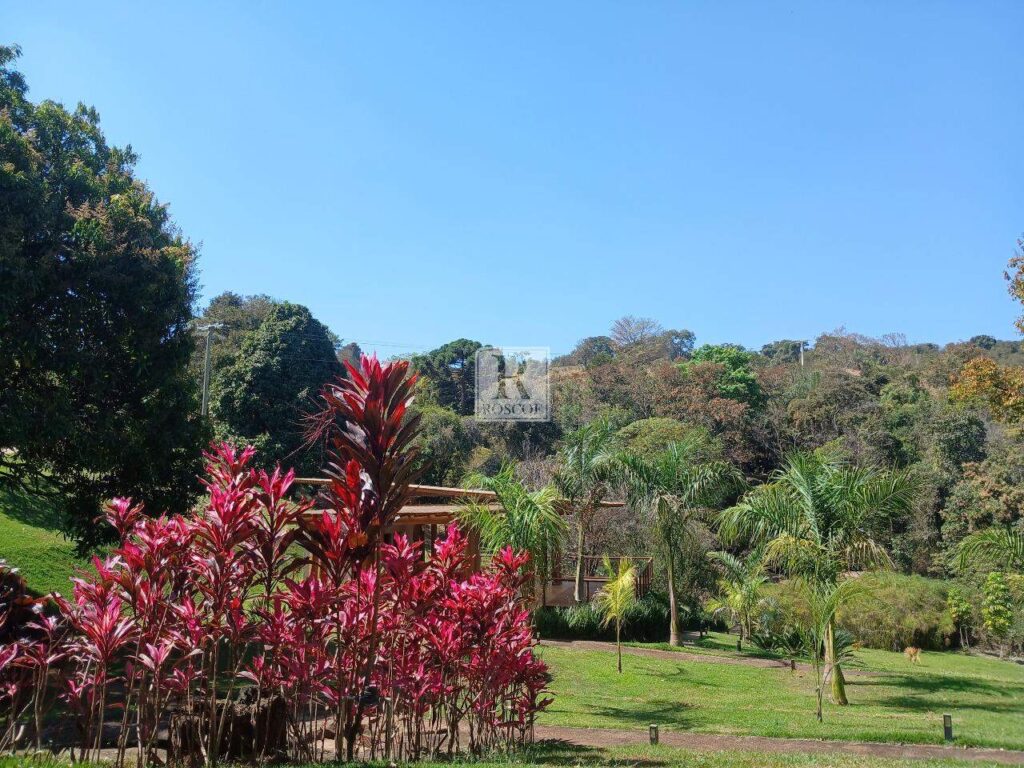Glebas em Piedade do Paraopeba