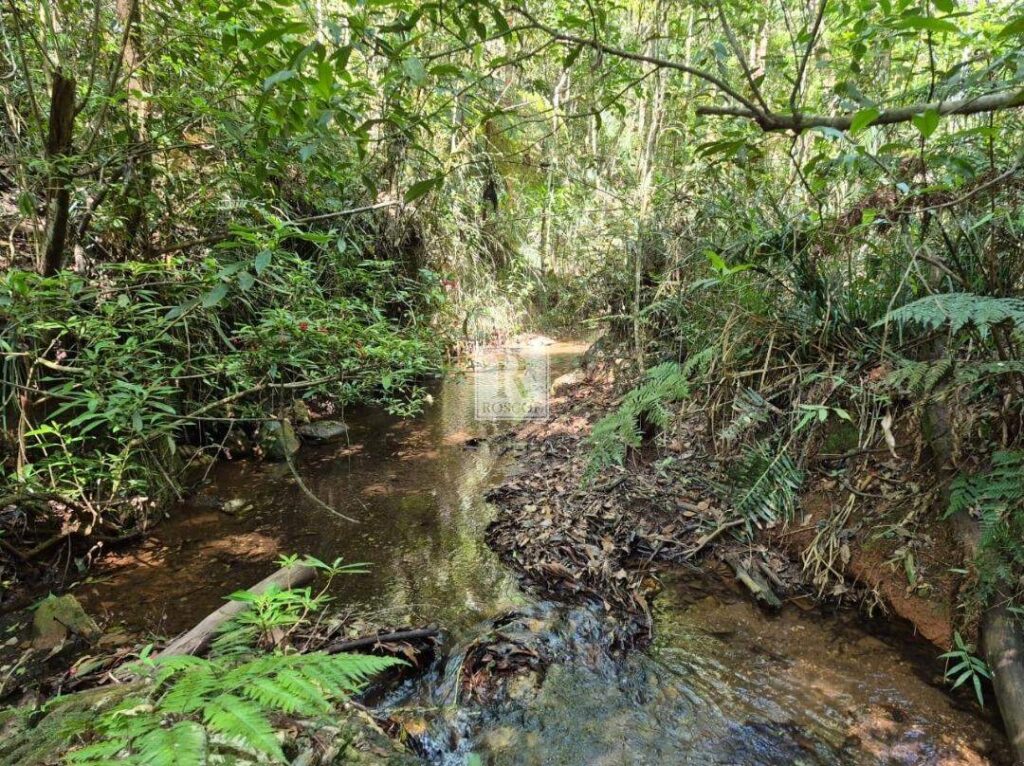 lotes a venda em nova lima