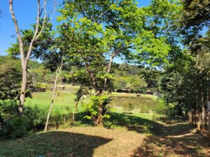 Lotes à venda no Jardins