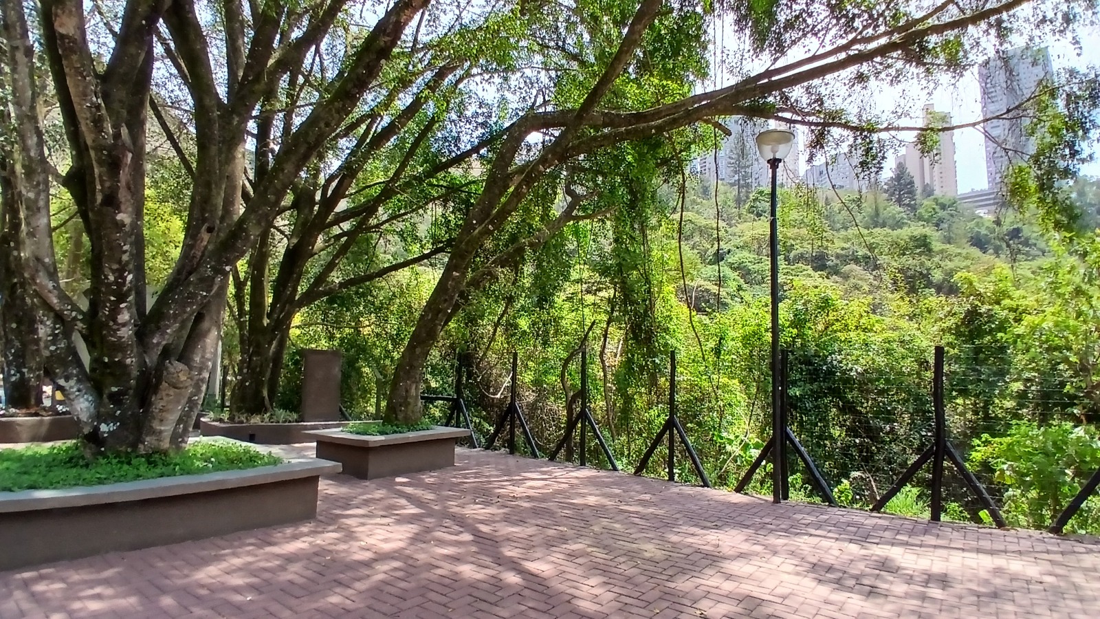 lotes à venda no Vila Castela