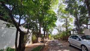 Lotes à venda no Ipê da Serra