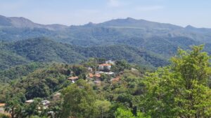 Lotes à venda no Vale das Araras